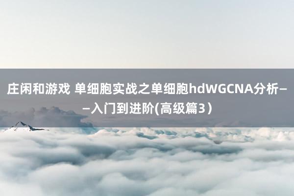 庄闲和游戏 单细胞实战之单细胞hdWGCNA分析——入门到进阶(高级篇3）