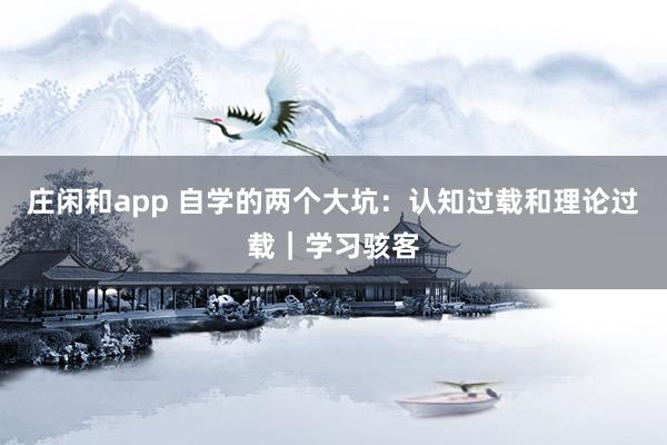 庄闲和app 自学的两个大坑：认知过载和理论过载｜学习骇客