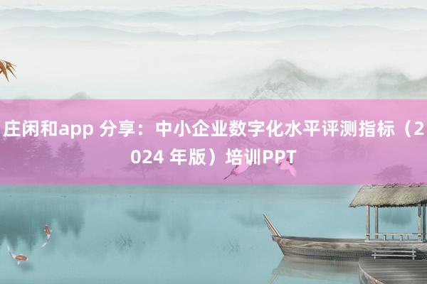 庄闲和app 分享：中小企业数字化水平评测指标（2024 年版）培训PPT
