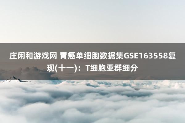 庄闲和游戏网 胃癌单细胞数据集GSE163558复现(十一)：T细胞亚群细分