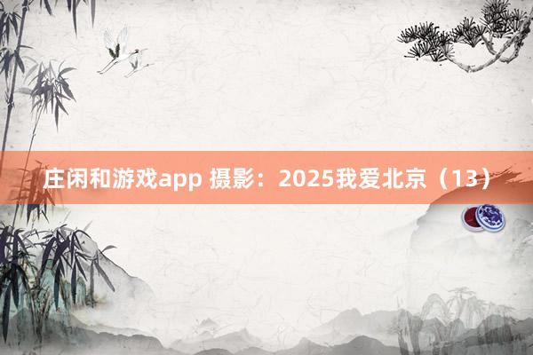 庄闲和游戏app 摄影：2025我爱北京（13）