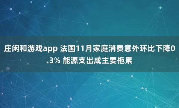 庄闲和游戏app 法国11月家庭消费意外环比下降0.3% 能源支出成主要拖累