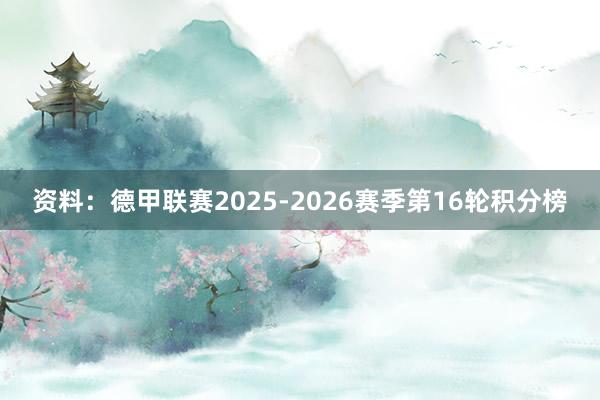 资料：德甲联赛2025-2026赛季第16轮积分榜