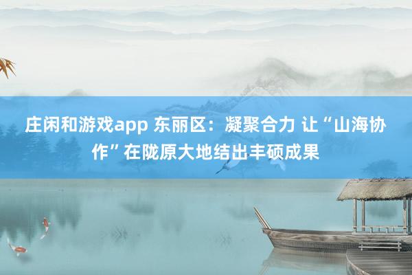庄闲和游戏app 东丽区：凝聚合力 让“山海协作”在陇原大地结出丰硕成果