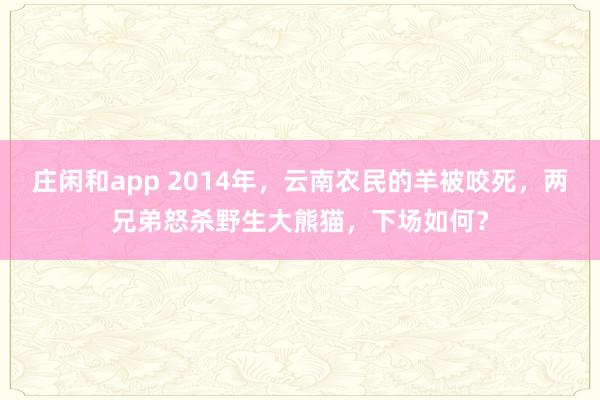 庄闲和app 2014年,云南农民的羊被咬死,两兄弟怒杀野生大熊猫,下场如何?