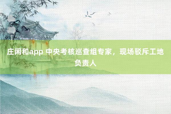 庄闲和app 中央考核巡查组专家,现场驳斥工地负责人